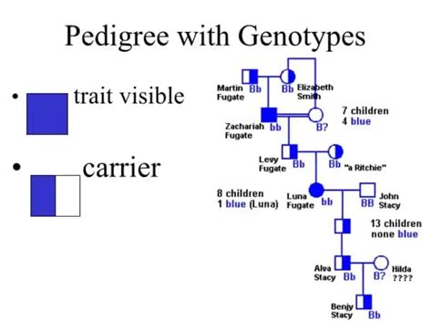 secrets   blue fugates  family  blue skin  history