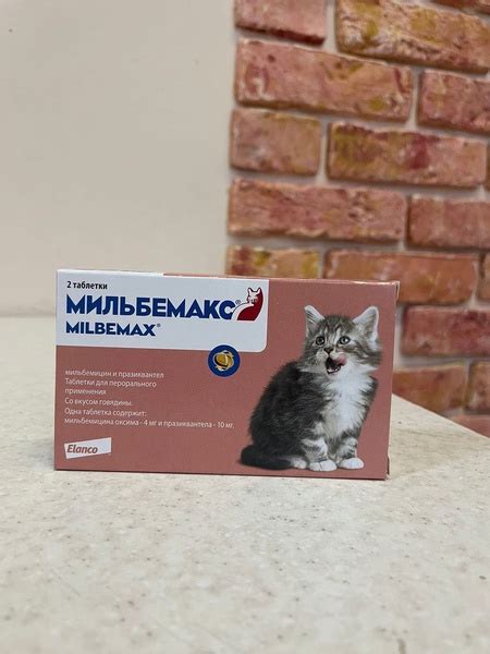 Мильбемакс, таблетки для котят и молодых кошек (2 табл), №2 купить на ...