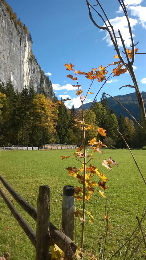 so schön ist der Herbst Imst