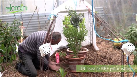 Comment PROTEGER Les PLANTES GELIVES Sous SERRE YouTube