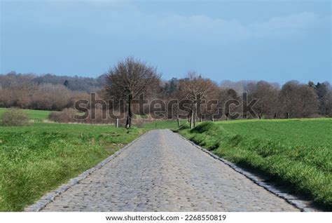 Vlaams Veld Images Stock Photos Vectors Shutterstock