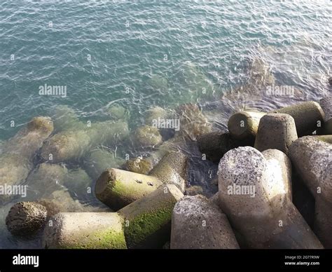 Tetrapod Structure Of Marine Drive Hi Res Stock Photography And Images