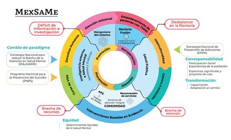 Enfoque En El Primer Nivel De Atenci N Para La Salud Mental Y