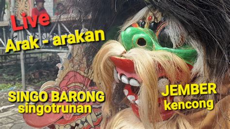 Live Seni Jaranan Singobarong Singotrunan Arak Arakan Live Jember