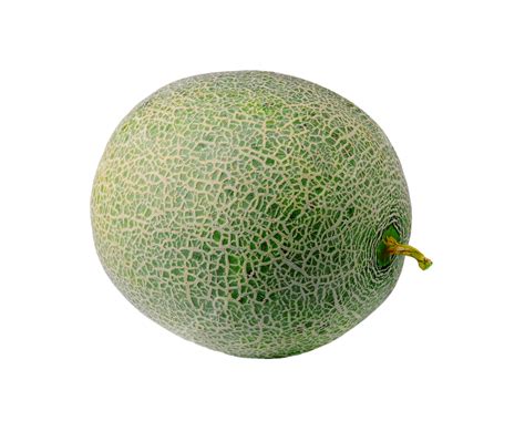 Melon Isolated On White Background Cantaloupe Fruit Honeydew