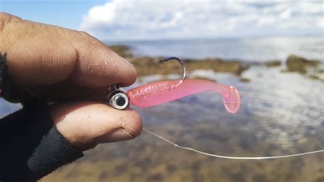 PESCARIA ULTRALIGHT NAS PEDRAS DA PRAIA TESTANDO OS MICRO SHADS YouTube