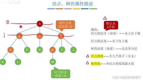 数据结构（王道）——数据结构之 树 Csdn博客