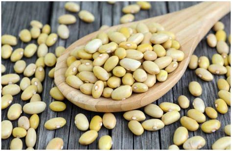 Peruano Beans Nutrition Facts Health Benefits Side Effects Recipe