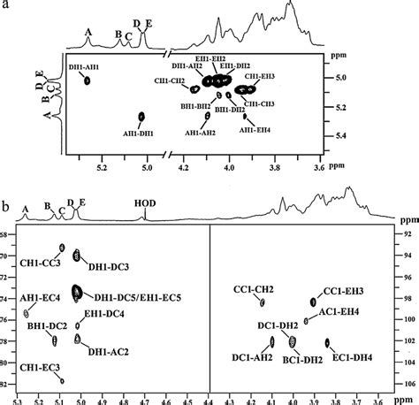 A Part Of Roesy Spectrum Of Heteropolysaccharide Ps Isolated From