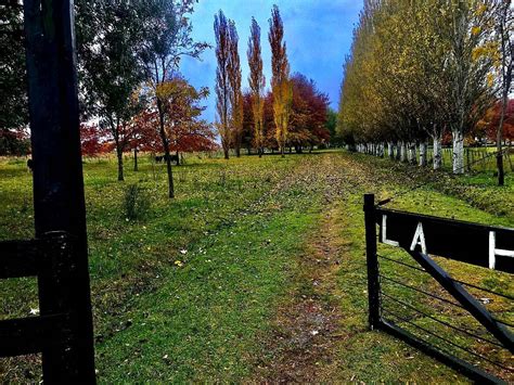 Campo Mixto Y De Fin De Semana Ha Gral Las Hera Bs As