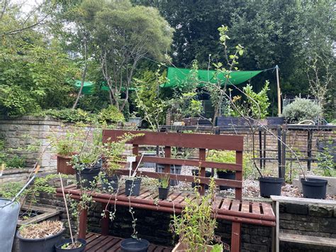 Our Mental Health And Horticulture Project Garden Needs Salford