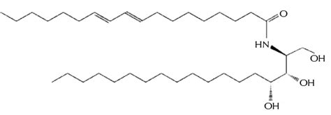 Skin Barrier And Phytosphingosine: What You Should Know. - The Dermatology Review