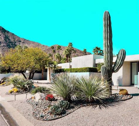 35 Easy Landscape Ideas for Creating Your Own Unique Desert Garden