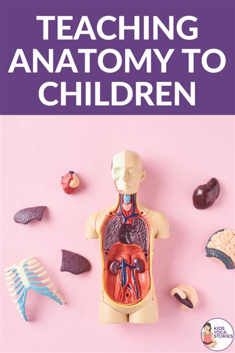 Teaching Anatomy to Kids in a Fun Way | Kids Yoga Stories