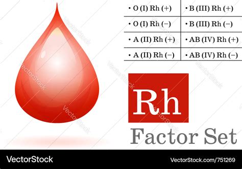 Rh Factor And Blood Drop Royalty Free Vector Image | Hot Sex Picture