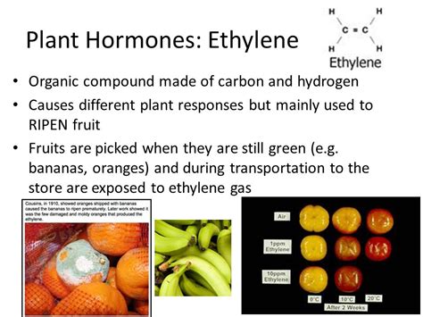 EXAMS AND ME : Ethylene