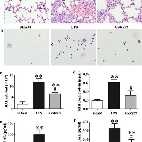 GSK872 Inhibited LPS Induced RIP3 Mediated Necroptosis In THP 1 Cells