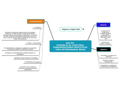 Nia 501 Evidencia De Auditoria Considerac Mind Map