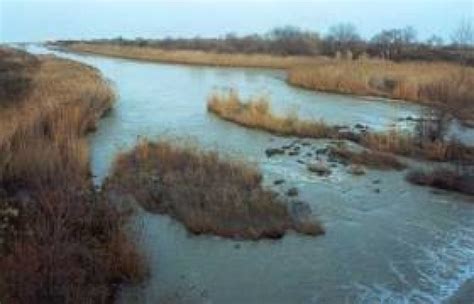 Di Tizio Wwf Notizie Allarmanti Sul Fiume Trigno Ma Gli Enti