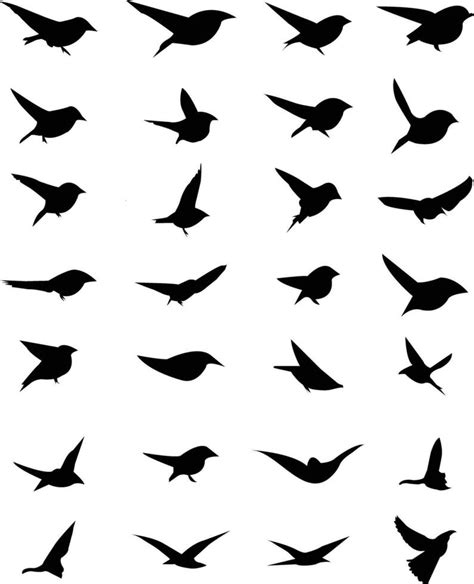 silhouette flying birds Vector 25249905 Vector Art at Vecteezy