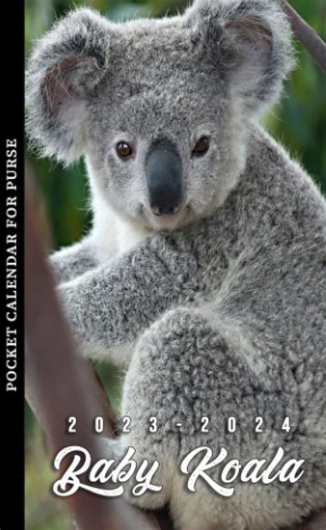 Baby Koala Pocket Calendar Year Monthly Planner With Baby