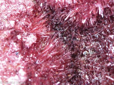 Erythrite Mineral Specimen For Sale