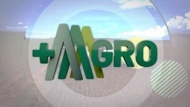 Agro Mt Assista Ao Bloco Do Agro Globoplay