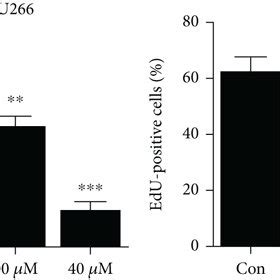 Ba Changed The Morphology And Inhibited The Proliferation Of Mm Cells