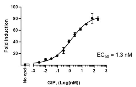 Gipr Cre Luciferase Reporter Hek Cell Line