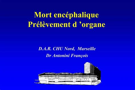 PPT Mort Enc Phalique Pr L Vement D Organe PowerPoint Presentation