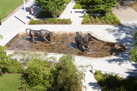 USF Marshall Center – Conner Landscape Architects