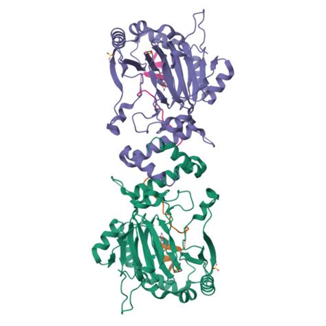 rcsb pdb hm factor inhibiting hif  alpha  complex  hif