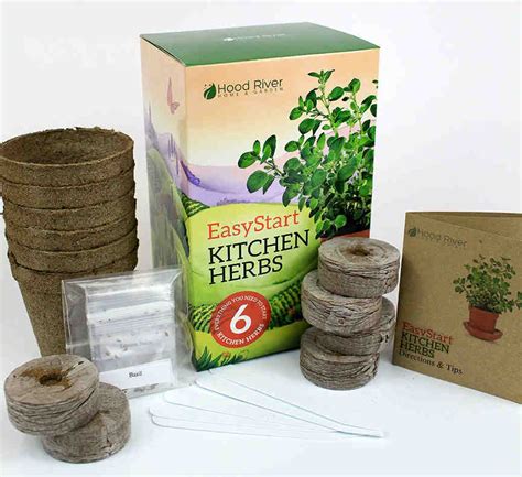 Indoor Herb Garden for Beginners - Corner of My Home