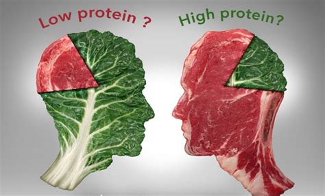 8 Penyakit Yang Siap Menyerang Akibat Tubuhmu Kekurangan Asupan Protein