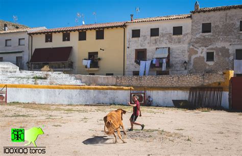 X Toros Capea En La Plaza De Toros De Pastrana