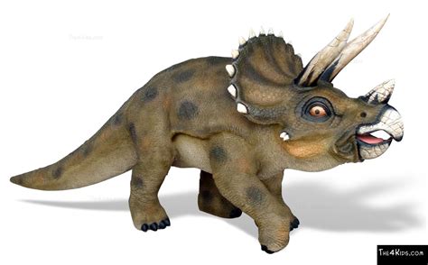 Young Triceratops Sculpture - The 4 Kids