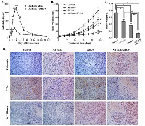 Antitumor Effects Of Ad Endo Combined With Dl On Gc Sgc