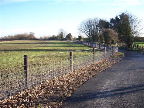 Rabbit Fencing Mark Vigrass Ltd