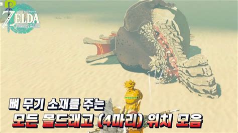 젤다의 전설 왕국의 눈물 뼈 무기 소재를 주는 모든 몰드래고 4마리 위치 모음 YouTube