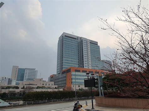 가톨릭대학교 서울성모병원 장례식장 Seoul St Marys Hosp Funeral Service 도시서초구