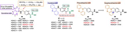 Structure and HDAC inhibition of HDAC6 inhibitors bearing benzo... | Download Scientific Diagram