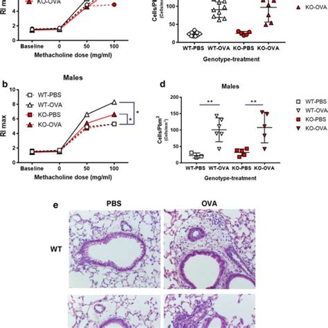 The Zpbp2 Deletion Influences Sphingolipid Profiles In Livers Levels