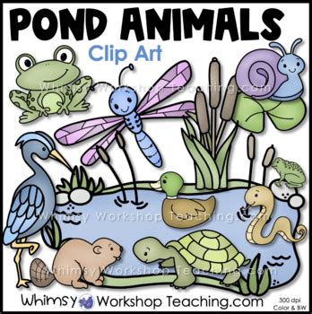 Pond Life Animals Clip Art Set by Whimsy Workshop Teaching | TpT