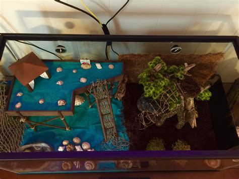 Hermit Crab Habitat | Ideal tank setup for hermit crabs