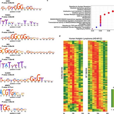 The splicing factors form a tightly interconnected network with ...