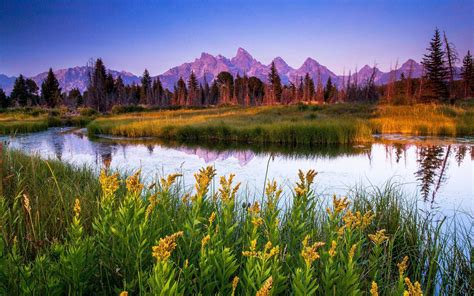 Free Download Travel Grand Teton National Park Great American Things [1024x768] For Your Desktop