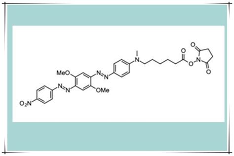 DusQ2 NHS esterDusQ2 活性酯用于用胺修饰的寡核苷酸进行标记 CSDN博客