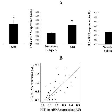 A Levels Of Mrna Expression Of Hif 1α Tnfα And Il6 In Human Visceral