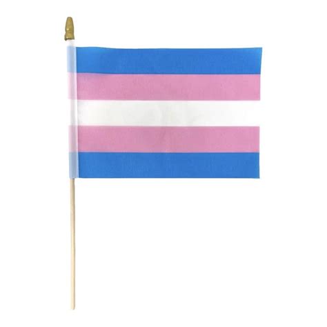 TRANSGENDER GAY PRIDE Mini Stick Flag LGBT LGBTQ Small Hand Held Party