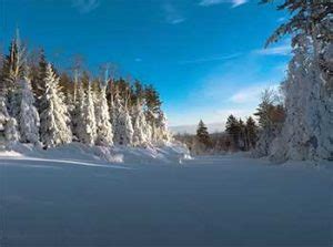 Okemo Vs. Mt. Snow Mountain: What’s Your Next Destination?